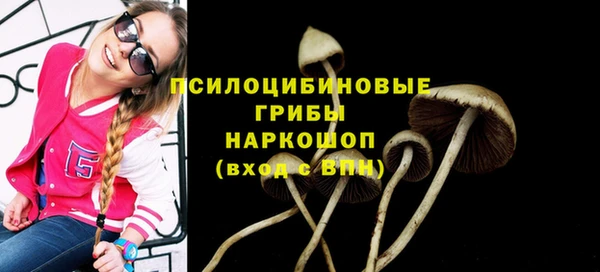 каннабис Арсеньев