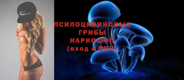 винт Аркадак