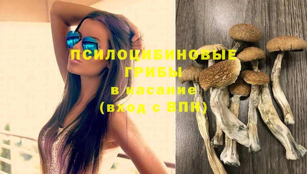винт Аркадак