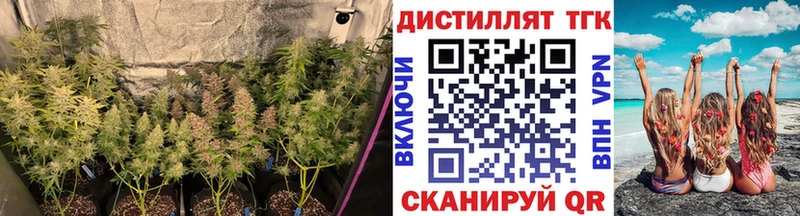 кракен tor где можно купить Углегорск ТГК жижа