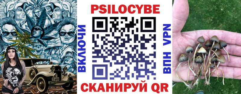 как найти закладки  Углегорск  Псилоцибиновые грибы мухоморы 