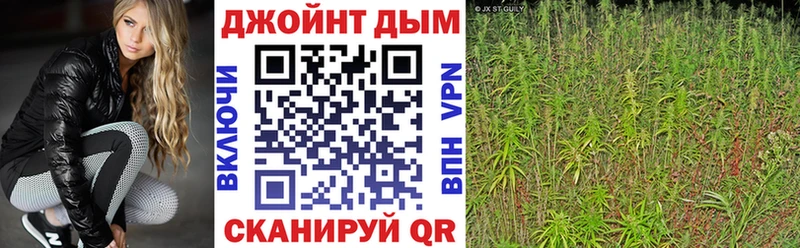 Бошки Шишки планчик  Углегорск 